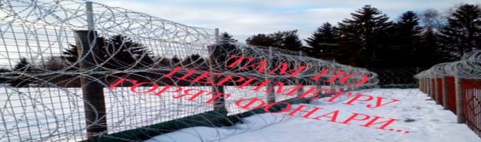 Скриншот 12-02-2026 202833.jpg